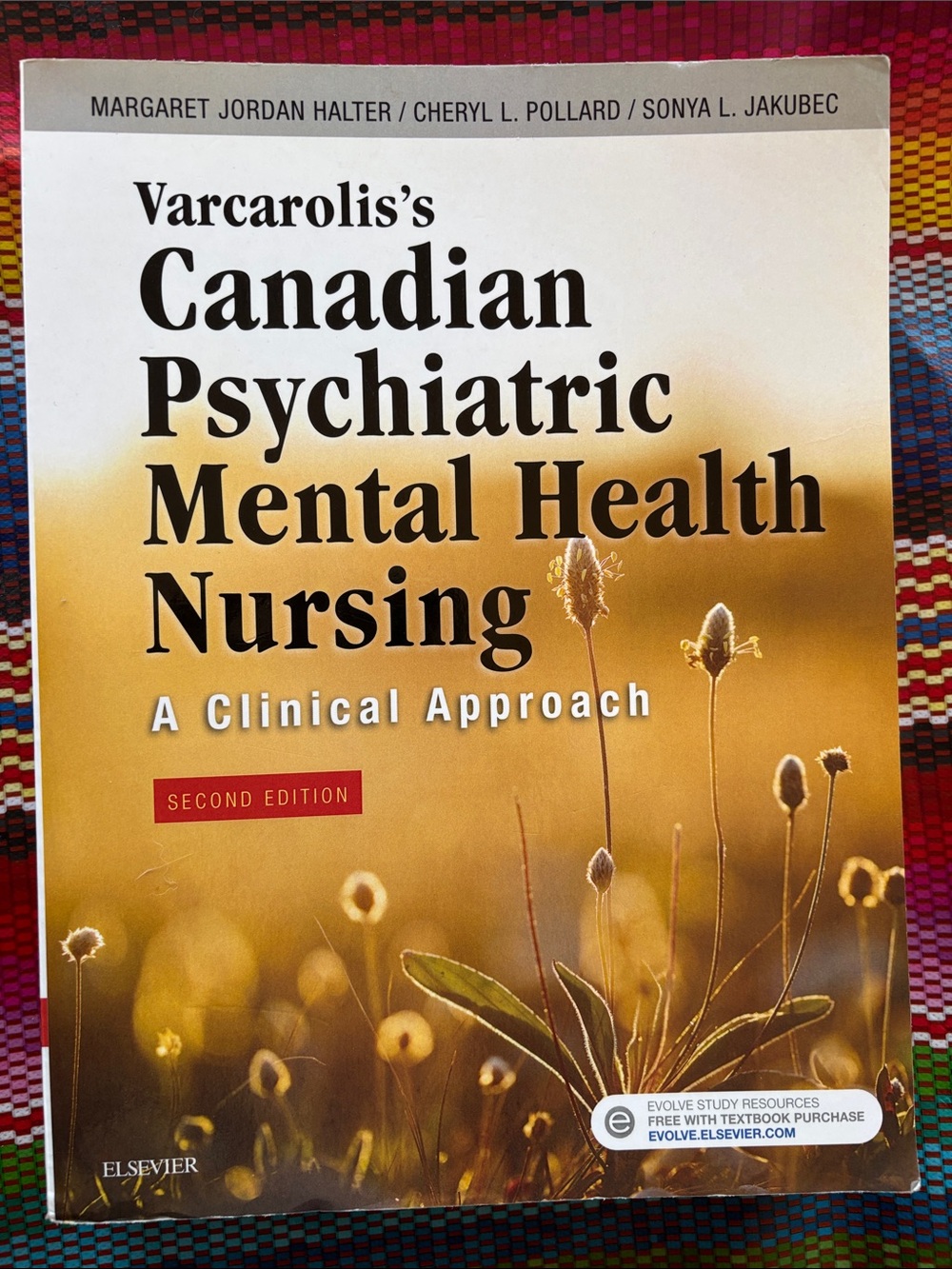 Varcarolis's Canadian Psychiatric Mental Health Nursing - Second Edition